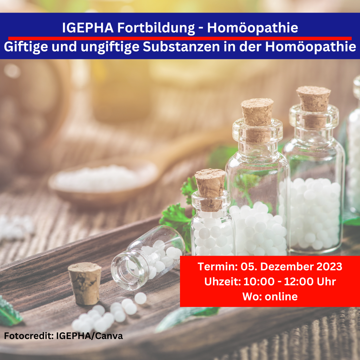 IGEPHA Fortbildung Homöopathie Giftige und ungiftige Substanzen in der Homöopathie